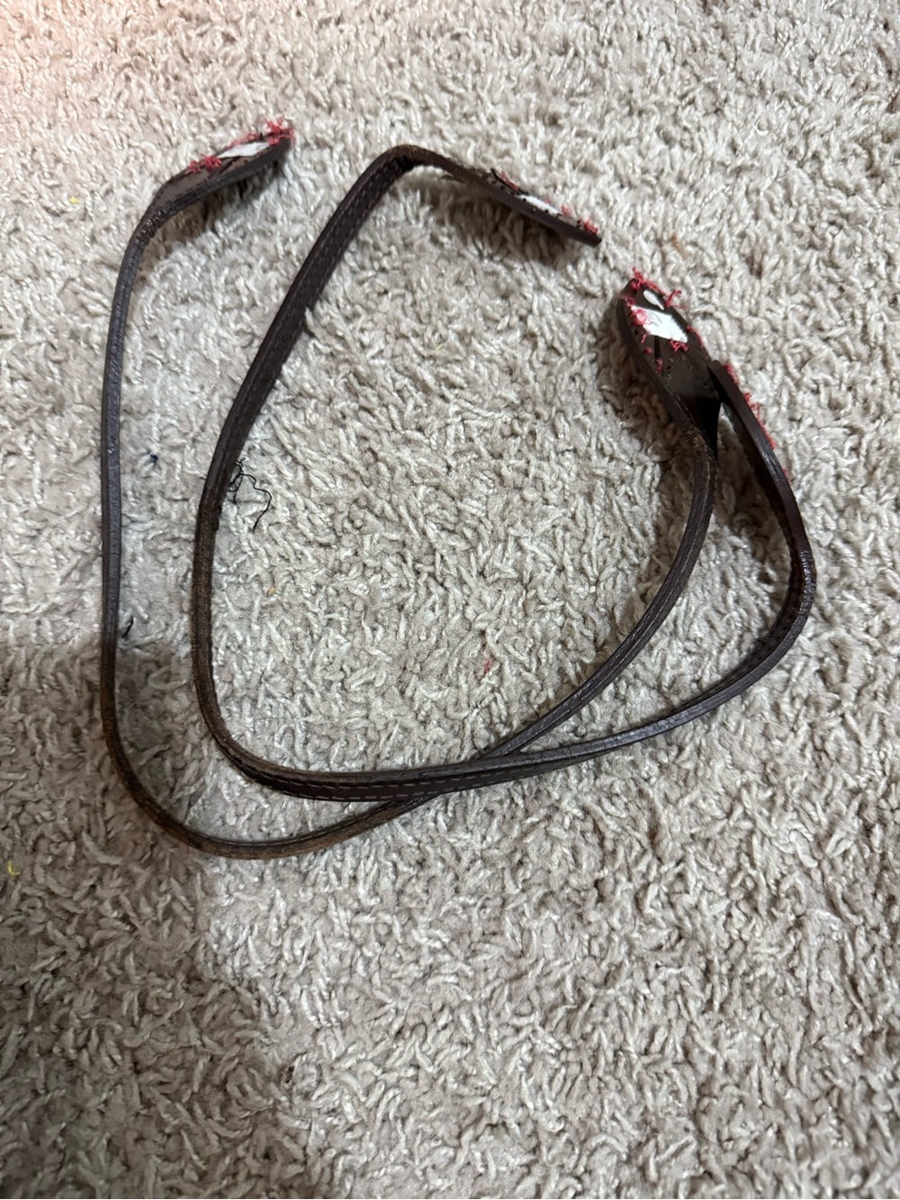 Louis Vuitton Brown never full Strap H28